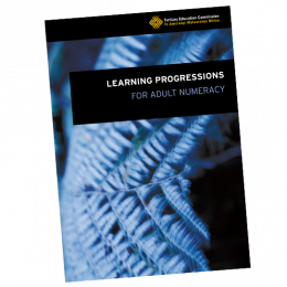 Learning progressions numeracy